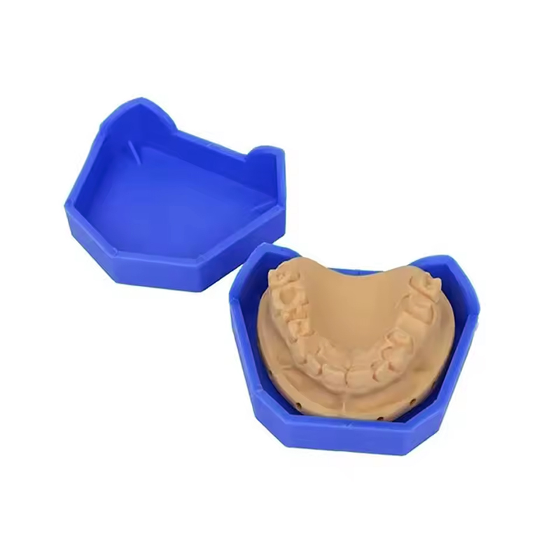 2/6 個歯科モデルベースシリコン石膏モデルベース義歯印象ト - Teeth Whitening Tray のレビューと価格