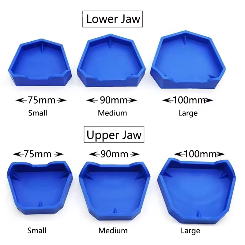 2/6 個歯科モデルベースシリコン石膏モデルベース義歯印象ト - Teeth Whitening Tray のレビューと価格