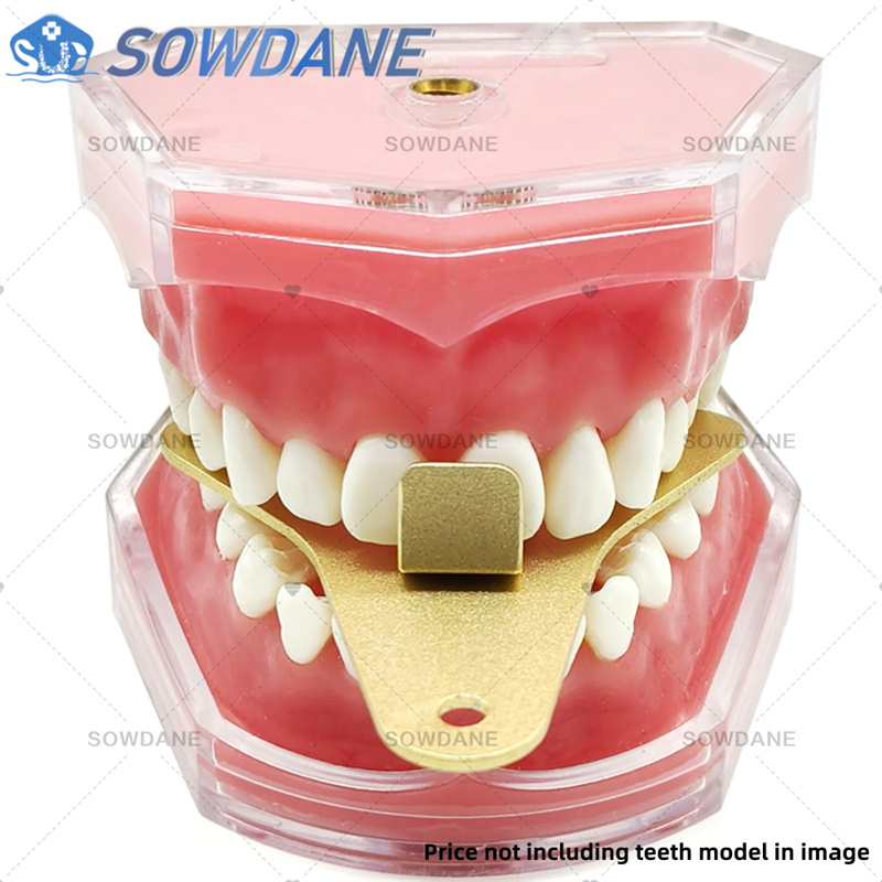 歯科ラボ印象トレー セントリック関係を実現するアルミニウム合 - Teeth Whitening Tray のレビューと価格