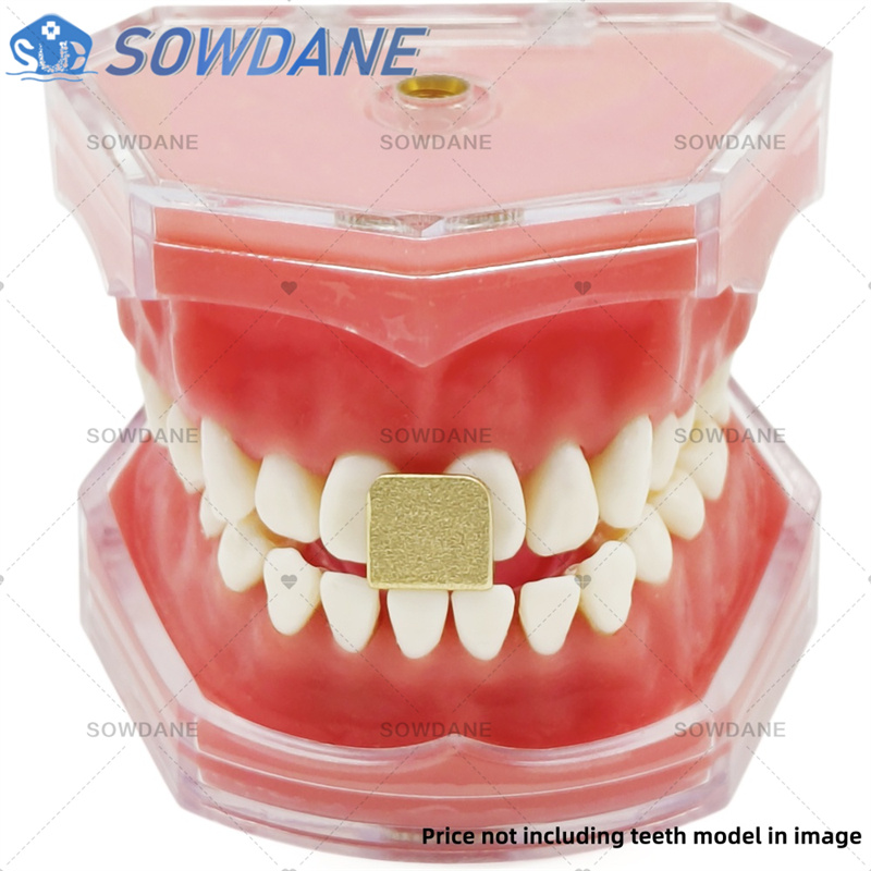 歯科ラボ印象トレー セントリック関係を実現するアルミニウム合 - Teeth Whitening Tray のレビューと価格