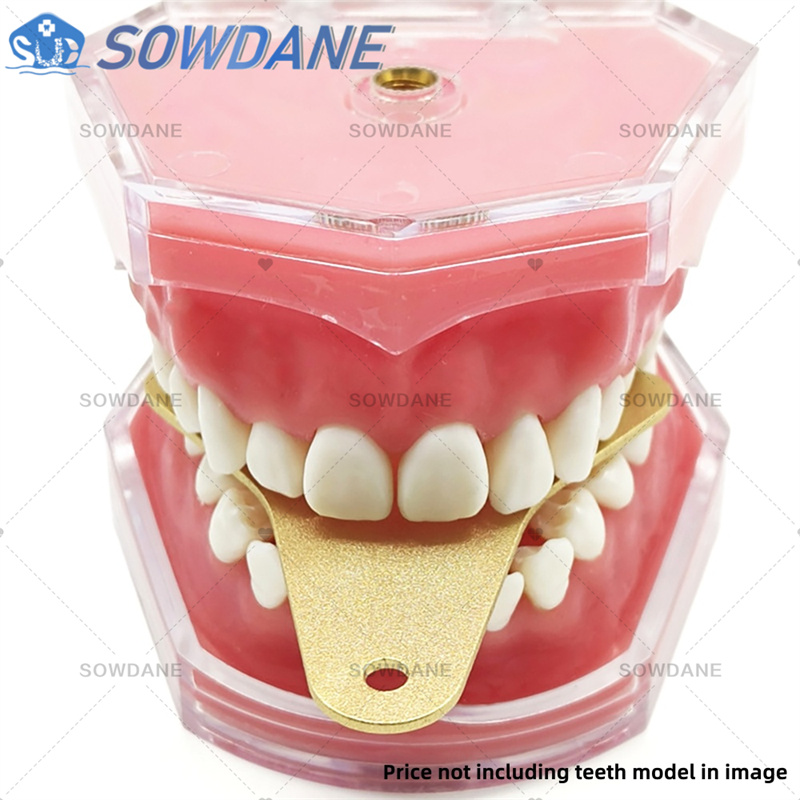 歯科ラボ印象トレー セントリック関係を実現するアルミニウム合 - Teeth Whitening Tray のレビューと価格