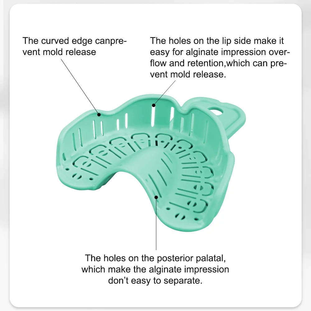 6 個の歯科インプラントトレイグリーンフルマウスインプレッシ - Teeth Whitening Tray のレビューと価格