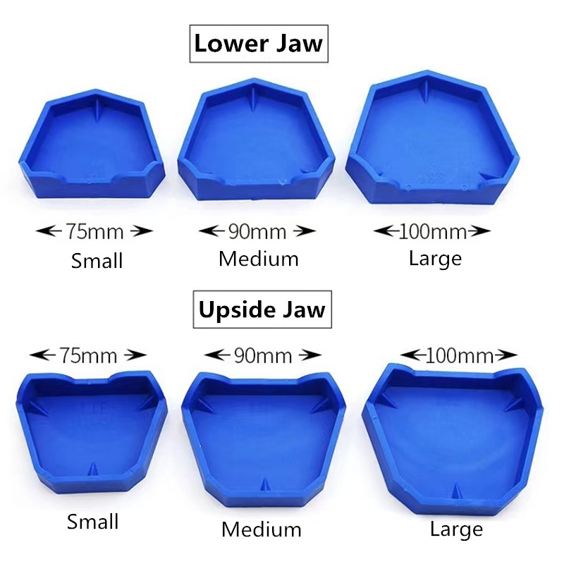 6 ピース/セット歯科モデルベースシリコンゴム石膏モデルベー - Teeth Whitening Tray のレビューと価格