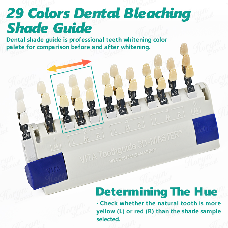 Vita 3D マスター歯科ラボ漂白シェードガイド 29 色 - Teeth Whitening With Trays のレビューと価格