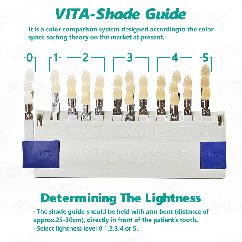 Vita 3D マスター歯科ラボ漂白シェードガイド 29 色 - Teeth Whitening With Trays のレビューと価格
