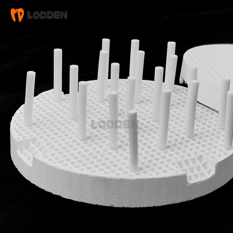 LODDEN セラミックハニカム焼成トレイ & ジルコニアピ - Teeth Whitening Tray のレビューと価格